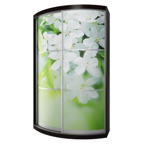 радиусный шкаф-купе с фотопечатью Мебелеф-3